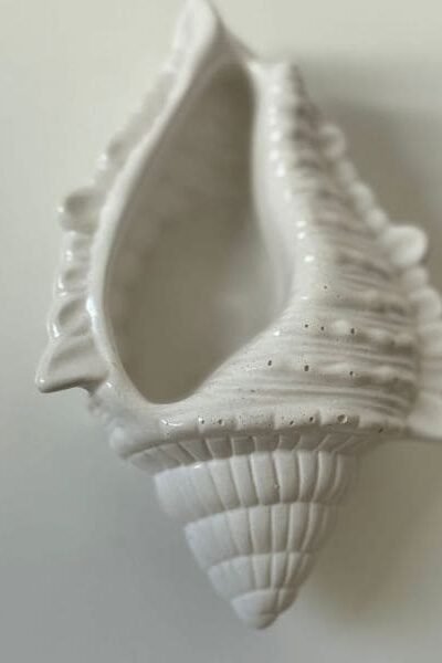 Porta Joias Concha Funda